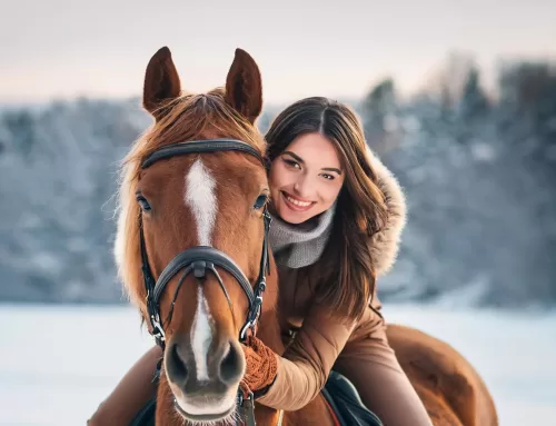 Warm bleiben beim Reiten: Der ultimative Leitfaden für Winterreitstiefel